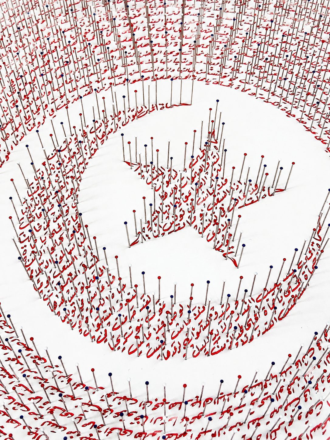 Détail de l'œuvre : l'hymne tunisien calligraphié à l'encre rouge, traversé d'épingles à têtes bleues, blanches et rouges