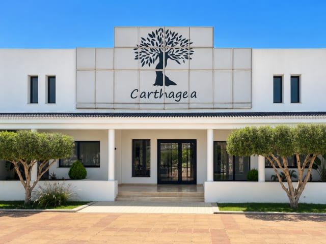Administration Carthagea